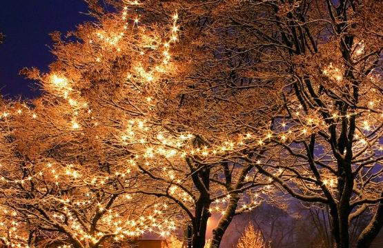 holiday lights